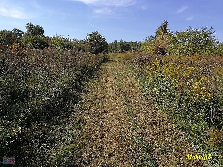 Przynajmniej wykoszone, Zakawie