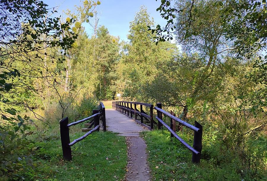Mostek nad mokradłami, WPN