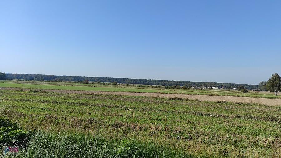 Gdzieś na szlaku