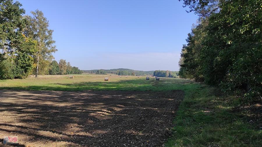 To też gdzieś tam na szlaku w PKWŁ