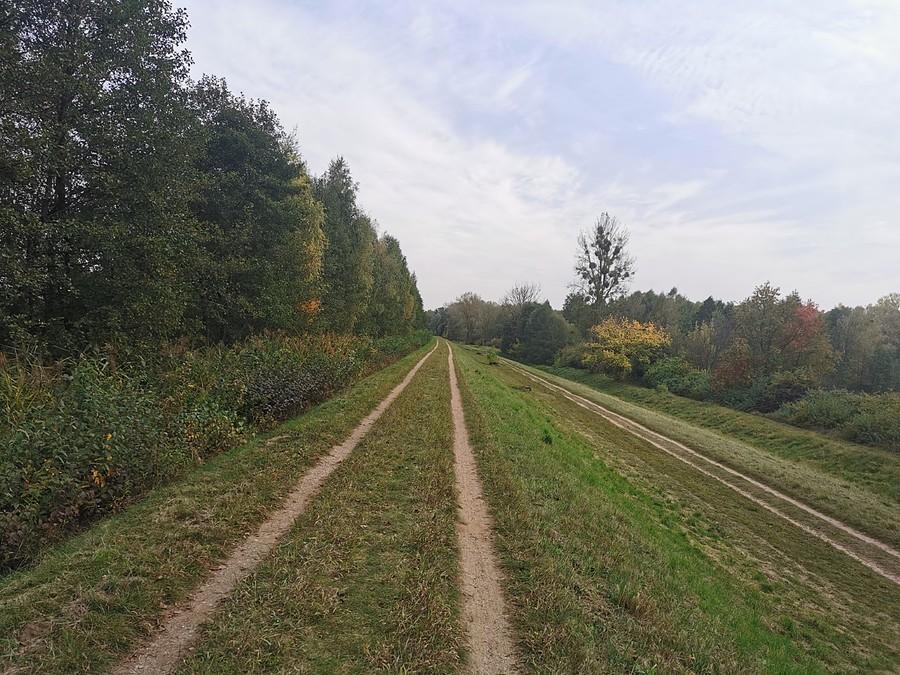 Wał przy Narwi