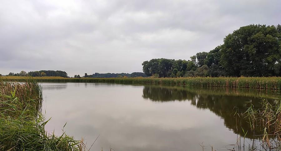 Jeden ze stawów w Grzybnie