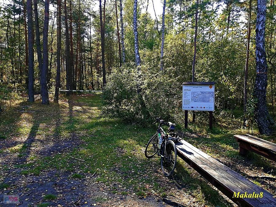 Ścieżka dydaktyczna - "Dolina Białej Przemszy" Przystanek 9