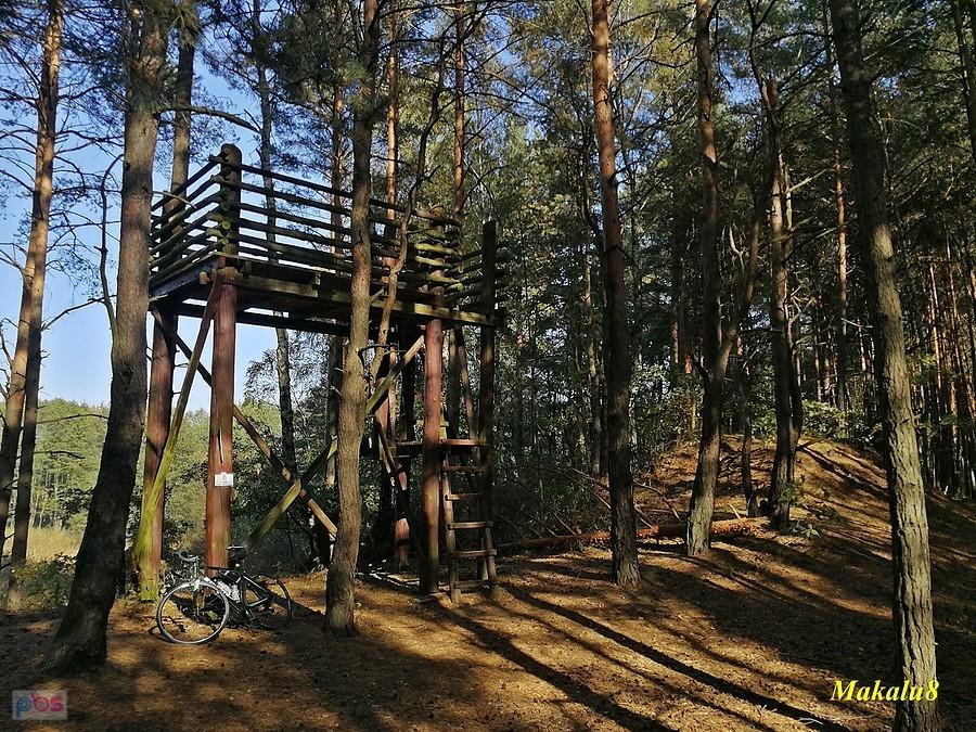 Wieża widokowa nad Białą Przemszą