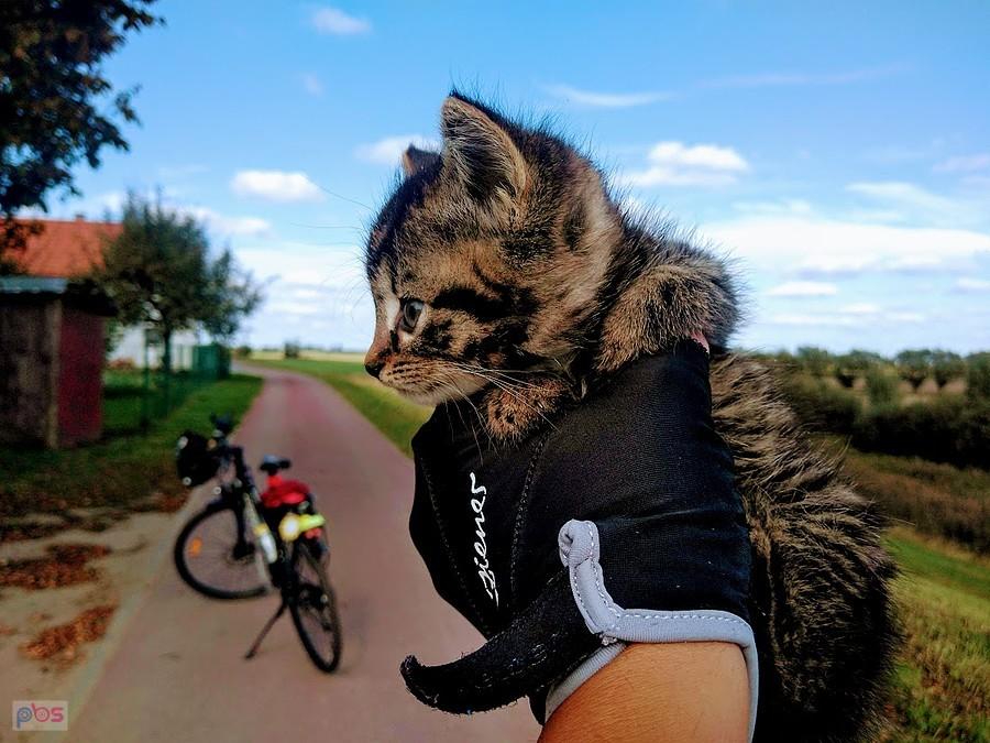 Wiślana Trasa Rowerowa