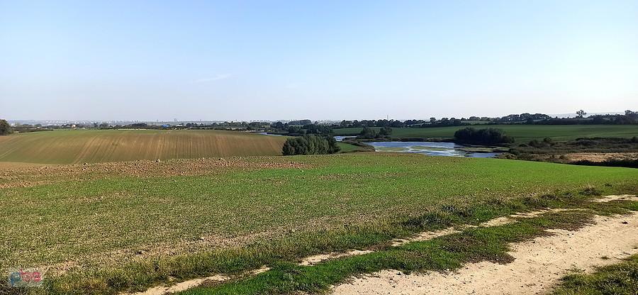 Widok ze ścieżki rowerowej Karwowo - Warnik.