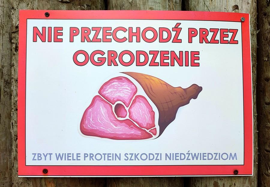 Nie dokarmiać niedźwiedzi ludzkim mięsem, to może im zaszkodzić :) ZOO Poznań