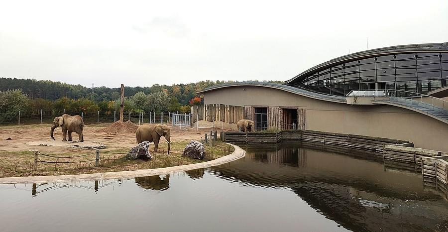 Słoniarnia z zewnątrz, ZOO Poznań