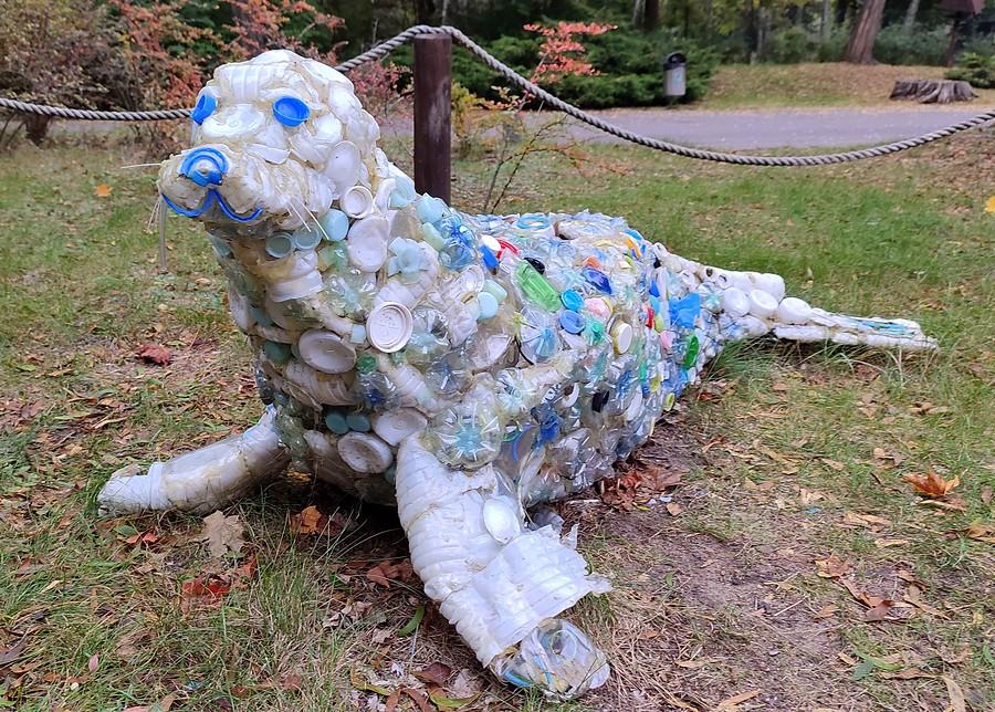 Foka z plastikiu, ZOO Poznań