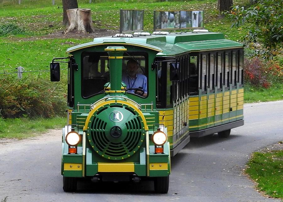 Bezpłatna kolejka kursująca po poznańskim ZOO