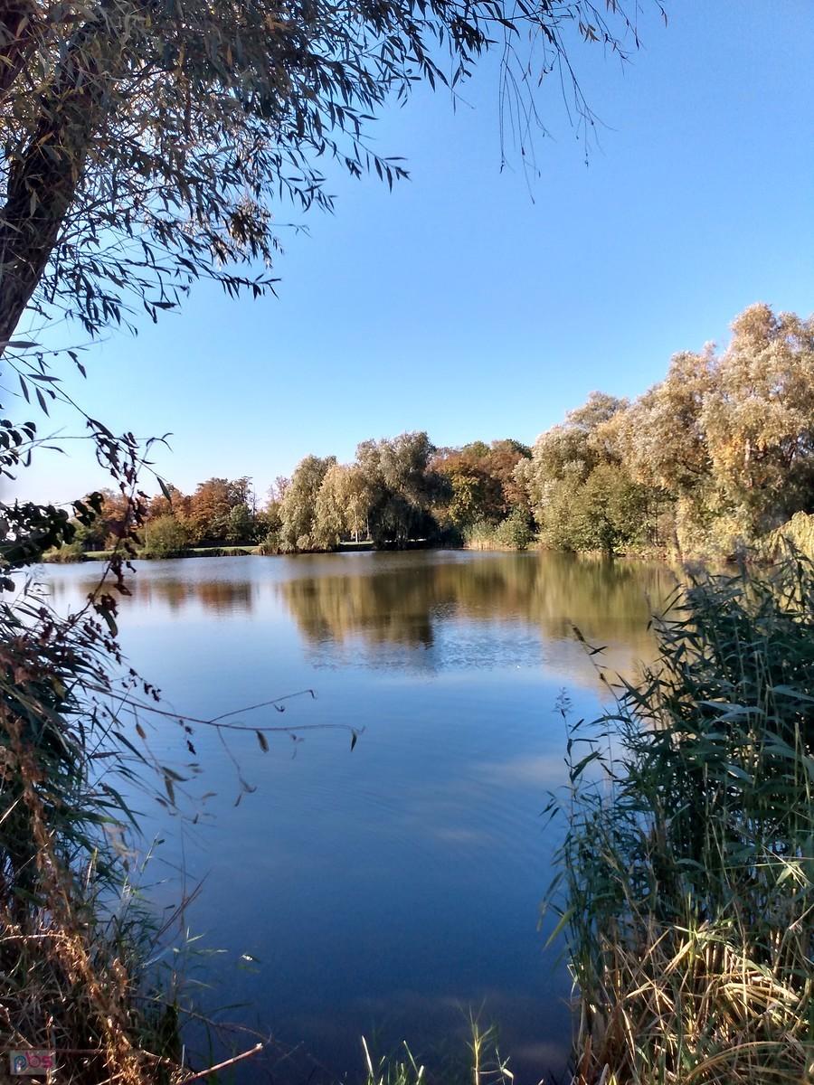 Staw w Zielonkach