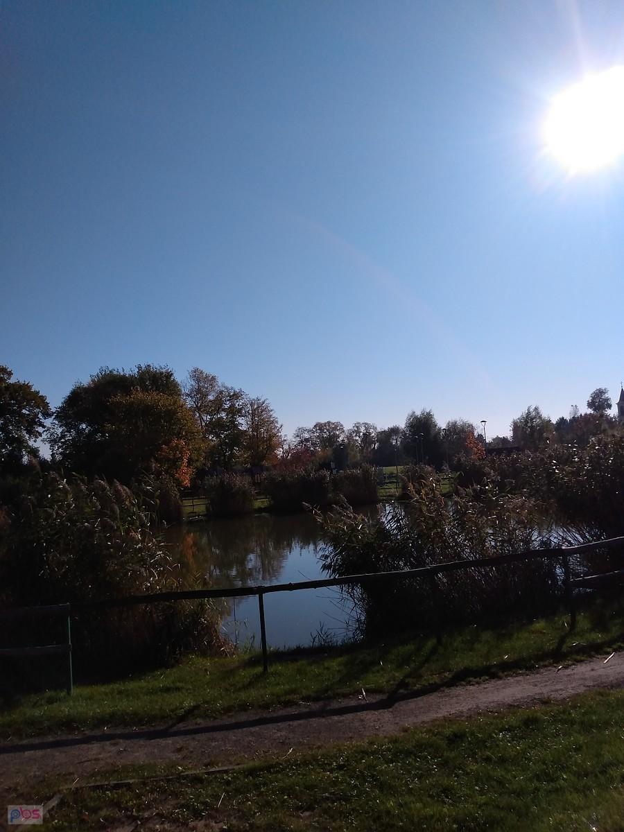 Staw w Borzęcinie