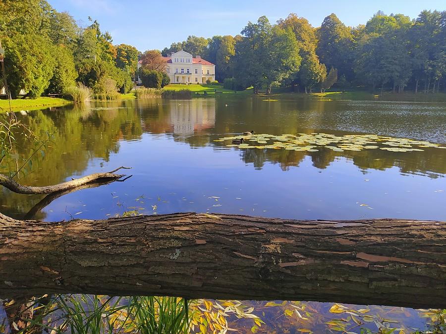 Staw Irydion i Pałac Raczyńskich w Złotym Potoku.