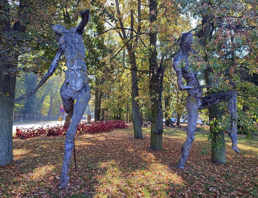 Jesienne barwy w tańcu, Kórnik