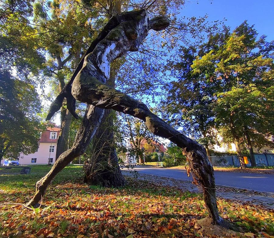 Jedna z tańczących, Kórnik