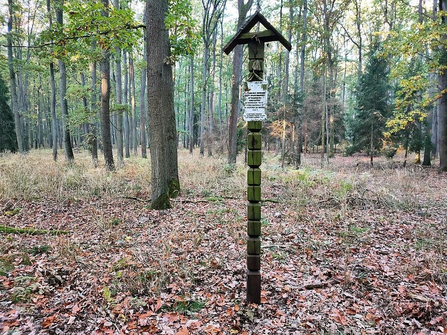 Miejsce ziemianek grupy spadochronowo-wywiadowczej Konstantego Ostrowskiego