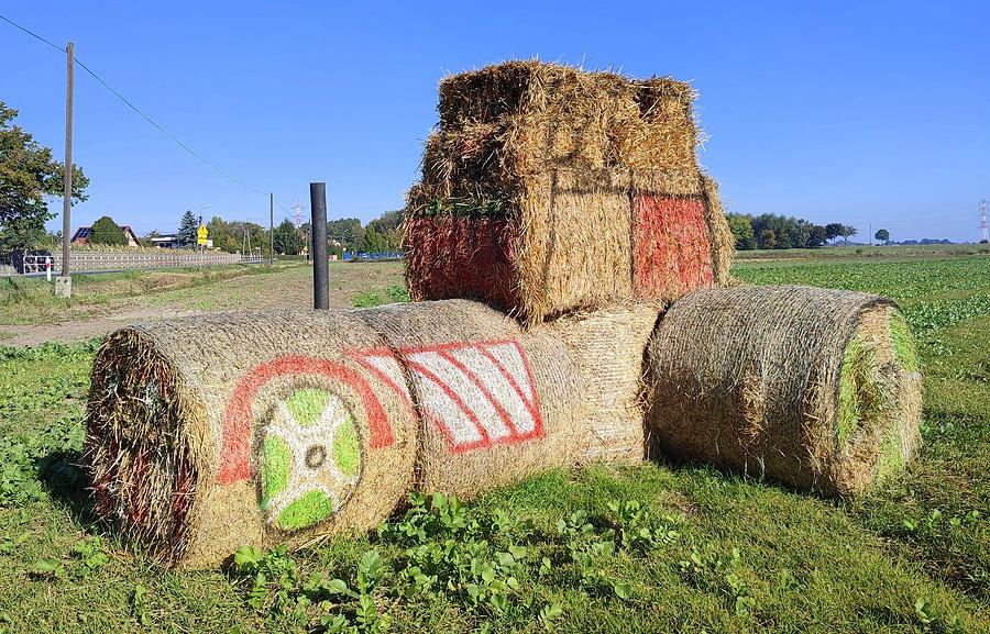 Zapomniana dożynka w Dziećmierowicach