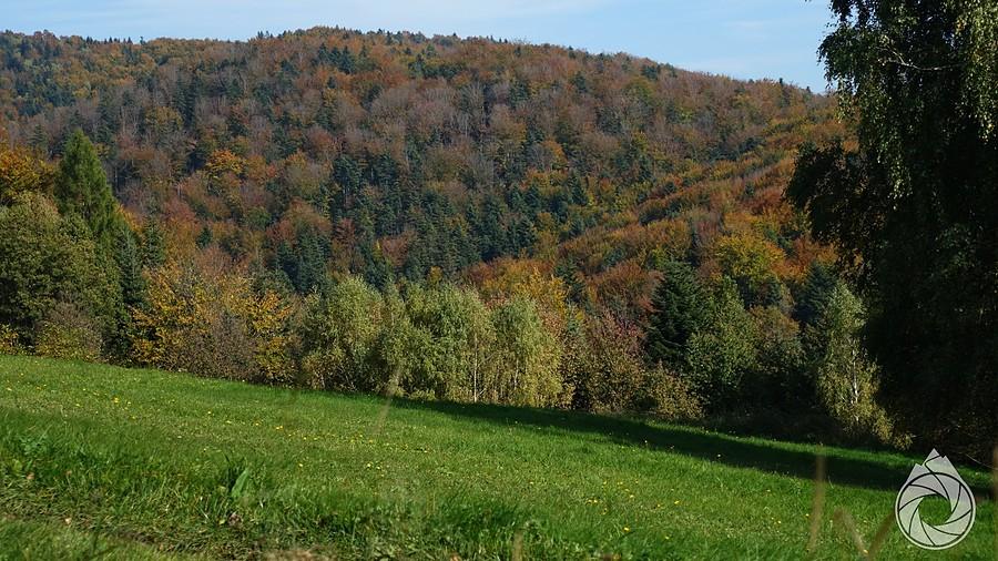 jesień łapie już dobrze