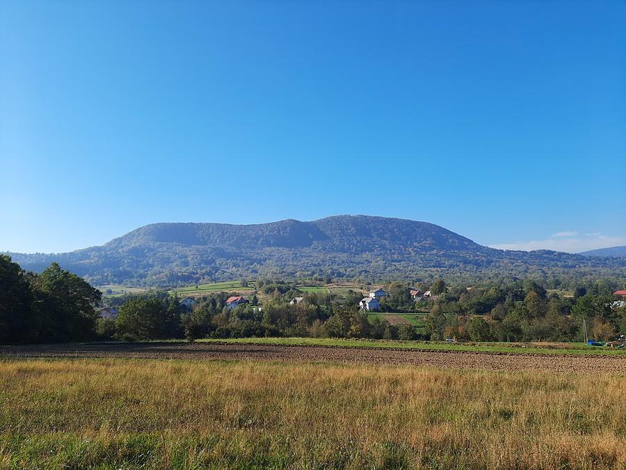 Cergową zostawiam na później.
