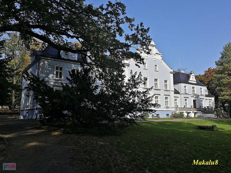 Pałac w Kokoszycach