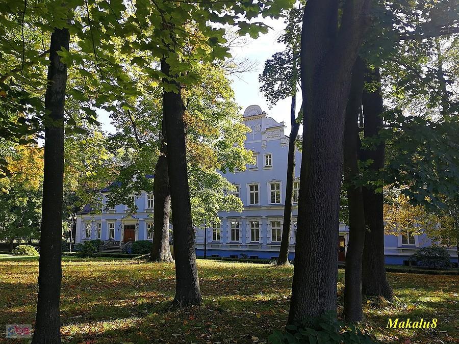Pałac w Kokoszycach