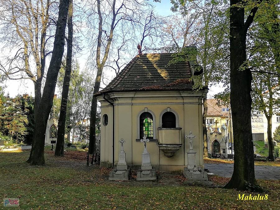 Pszów