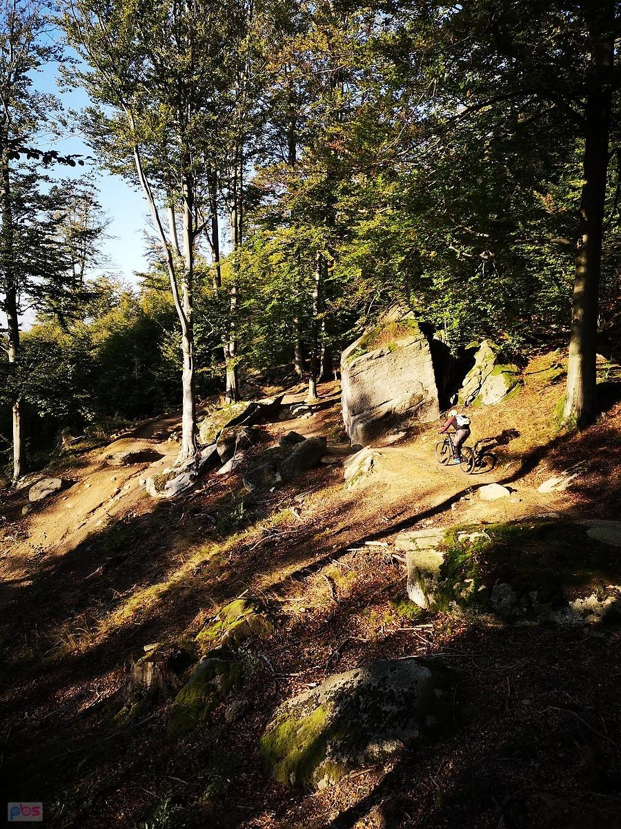 Pasmo rowerowe Olbrzymy - Skarbek