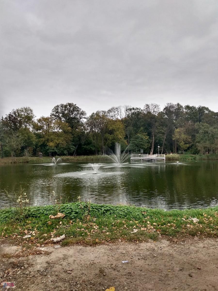 Staw w Ołtarzewie