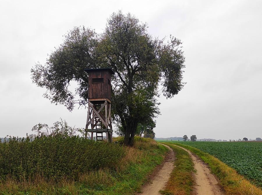 Droga lekko nie na szosę, ale do ogarnięcia, Lisówki