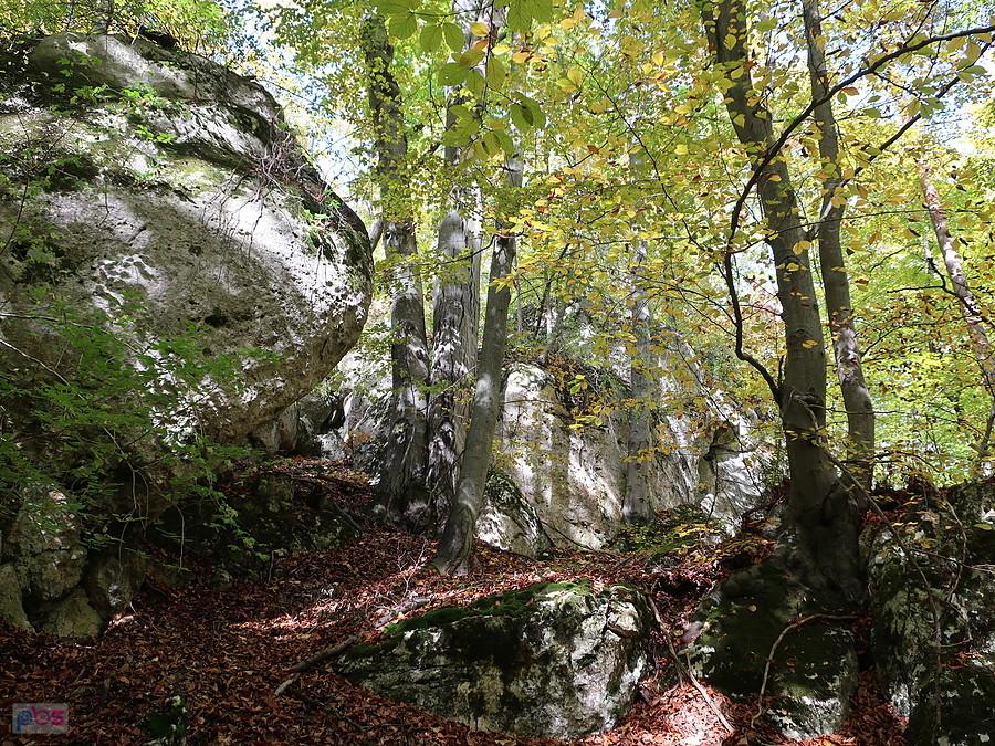 Skały na Pustelnicy