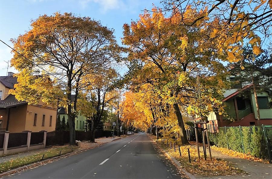 Poranne poznańskie Świerczewo