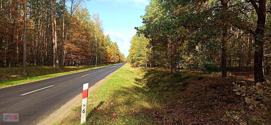 Droga Tanowo - Dobieszczyn bez ścieżki rowerowej.