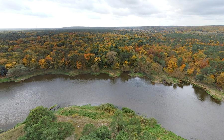 Pełnia jesiennych kolorów nad Wartą