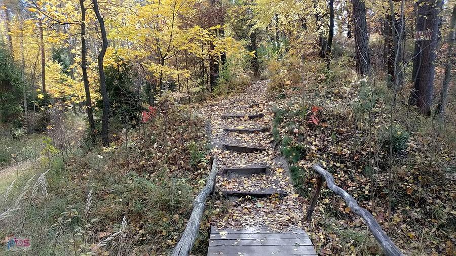 Mostek i nie tylko