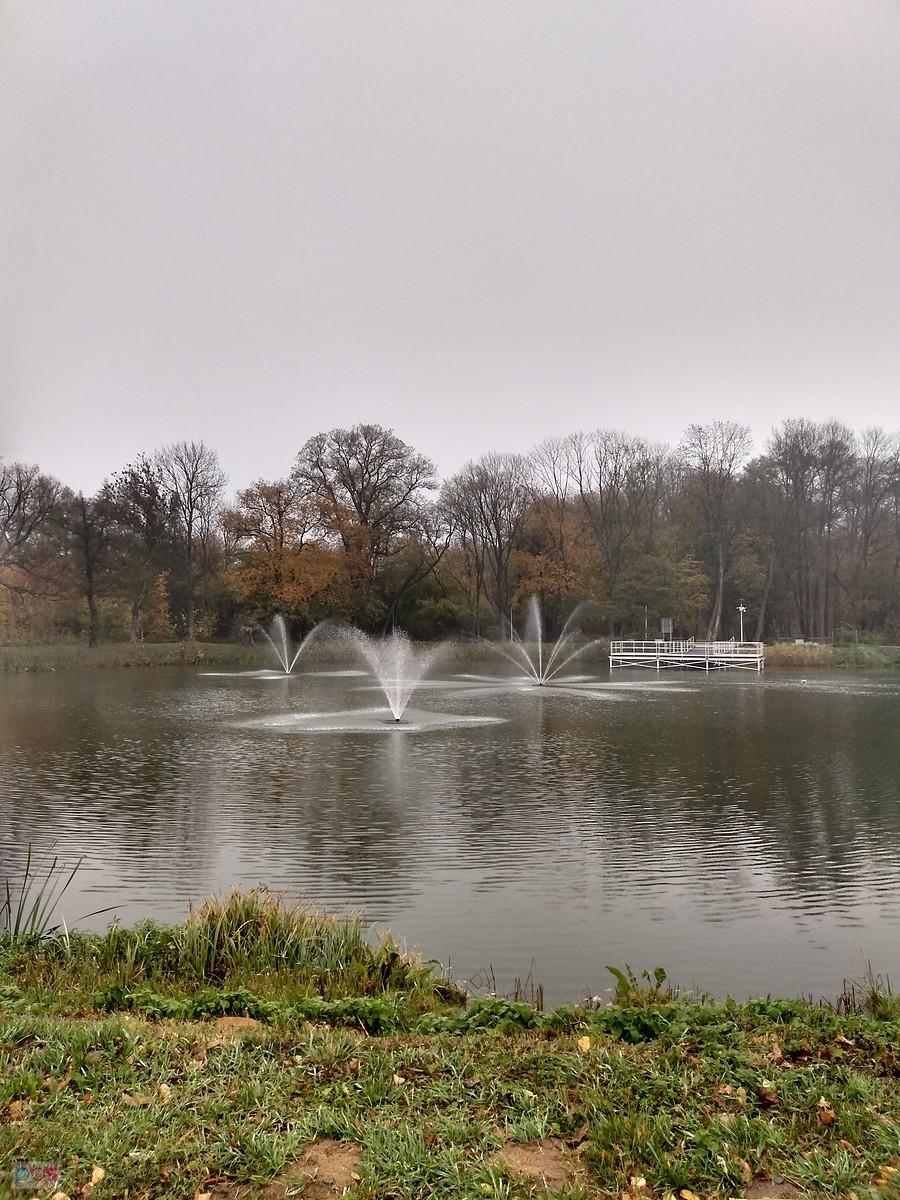 Staw w Ołtarzewie