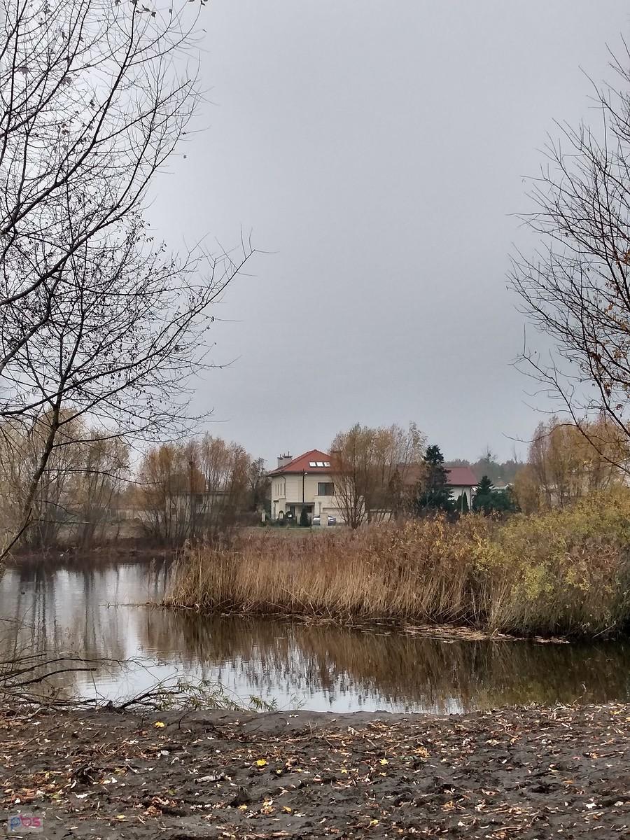 Staw w Bliznem Jasińskiego
