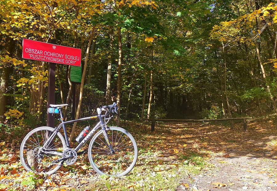 Przy wjeźzie w Puszczykowskie Góry