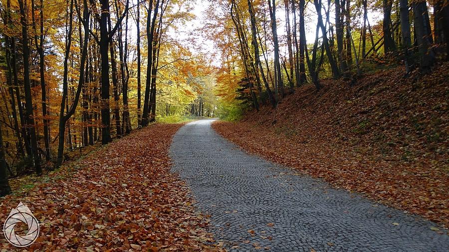 brukiem nad Ojców