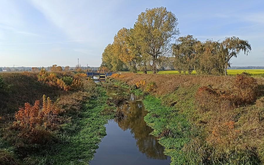 Jesiennie nad Kanałem Mosińskim