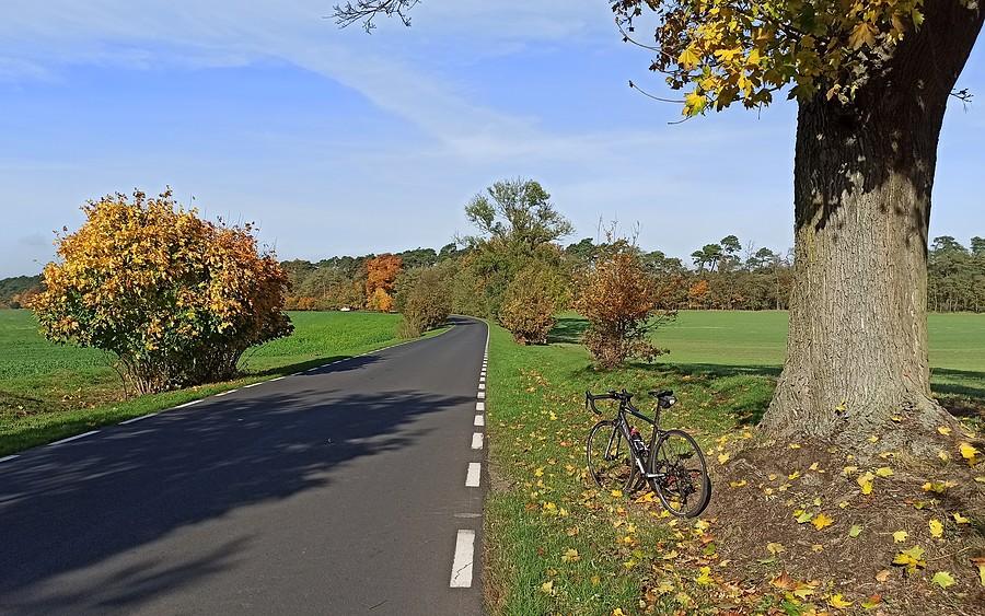 Wypogodziło się na dobre, no i ta feeria jesiennych barw