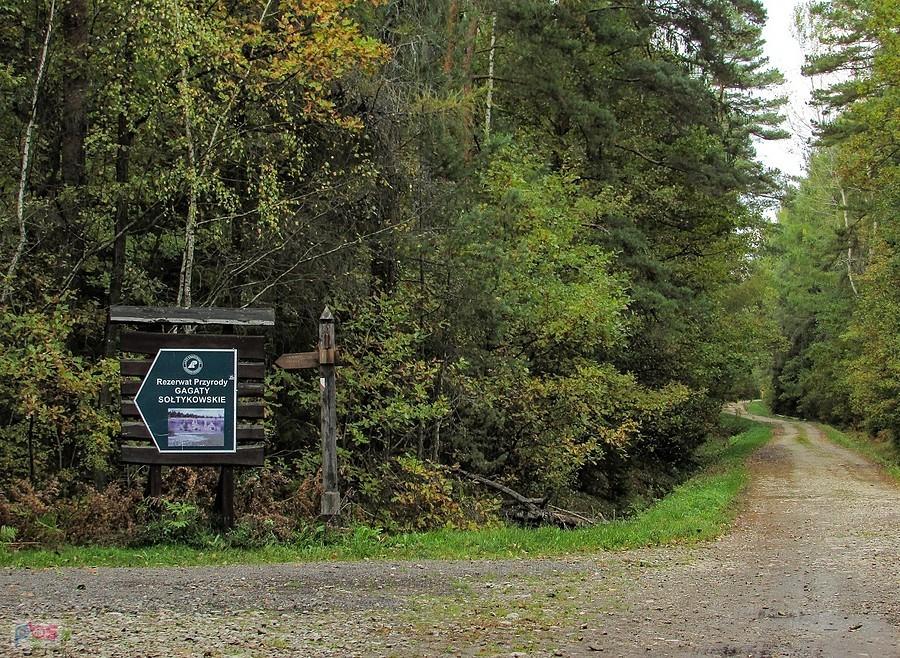 Kierunek rezerwat przyrody Gagaty Sołtykowskie