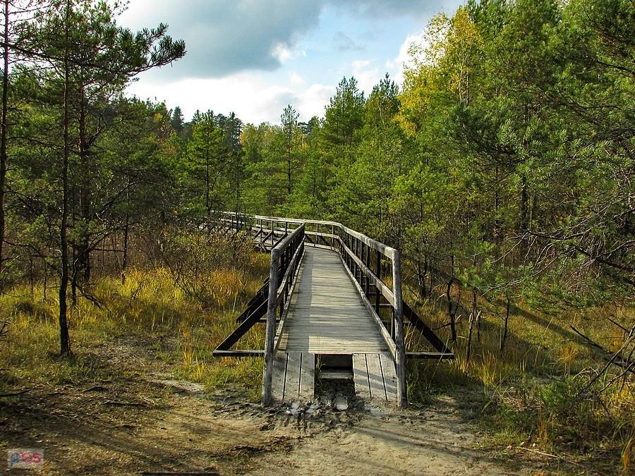 To już ostatni pomost zbudowany nad mokradłami