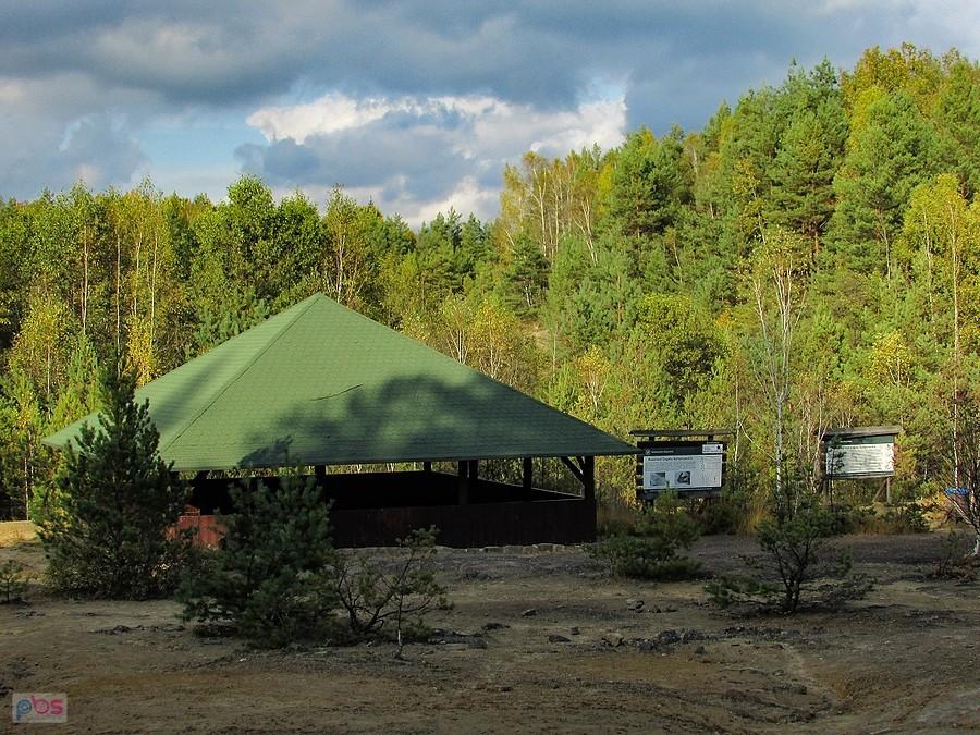 Pawilon postawiony nad skalną płytą ze śladmi dinozaurów
