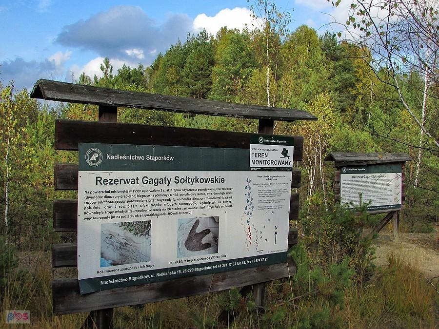 Tablice edukacyjne przy pawilonie z tropami dinozaurów