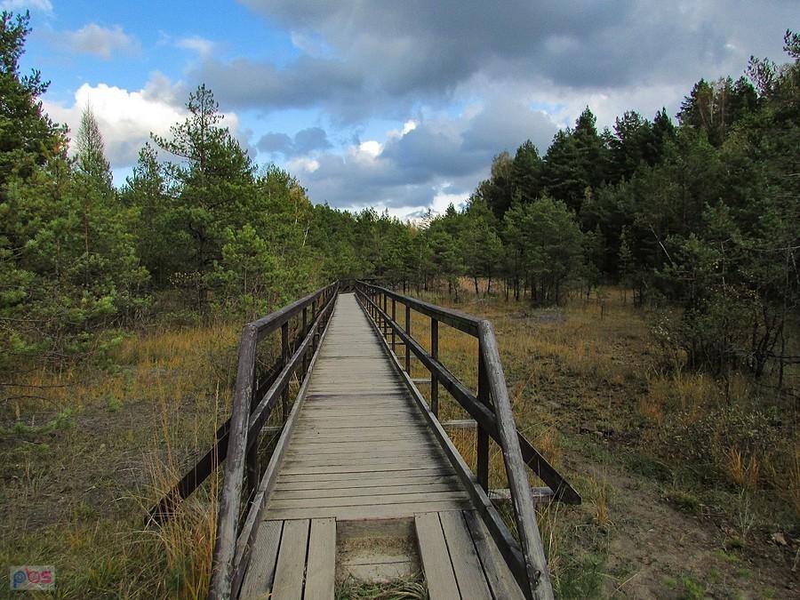 Powrót tą samą drogą prowadzacą pomostami