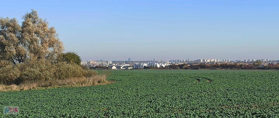 Widok na Szczecin ze ścieżki rowerowej Przecław - Karwowo.