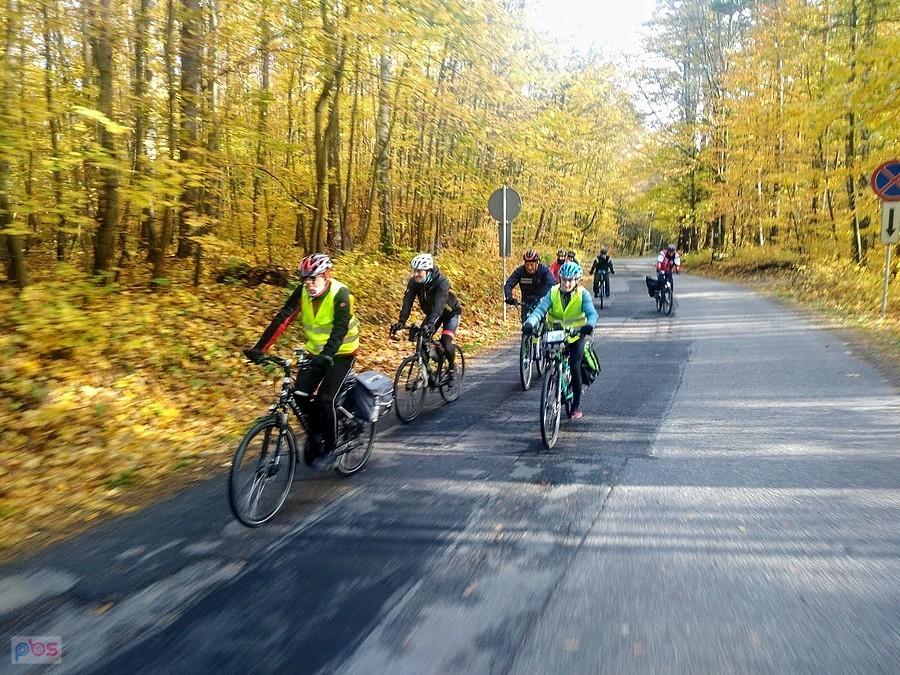 Grupa rowerzystów na leśnej drodze jesienią