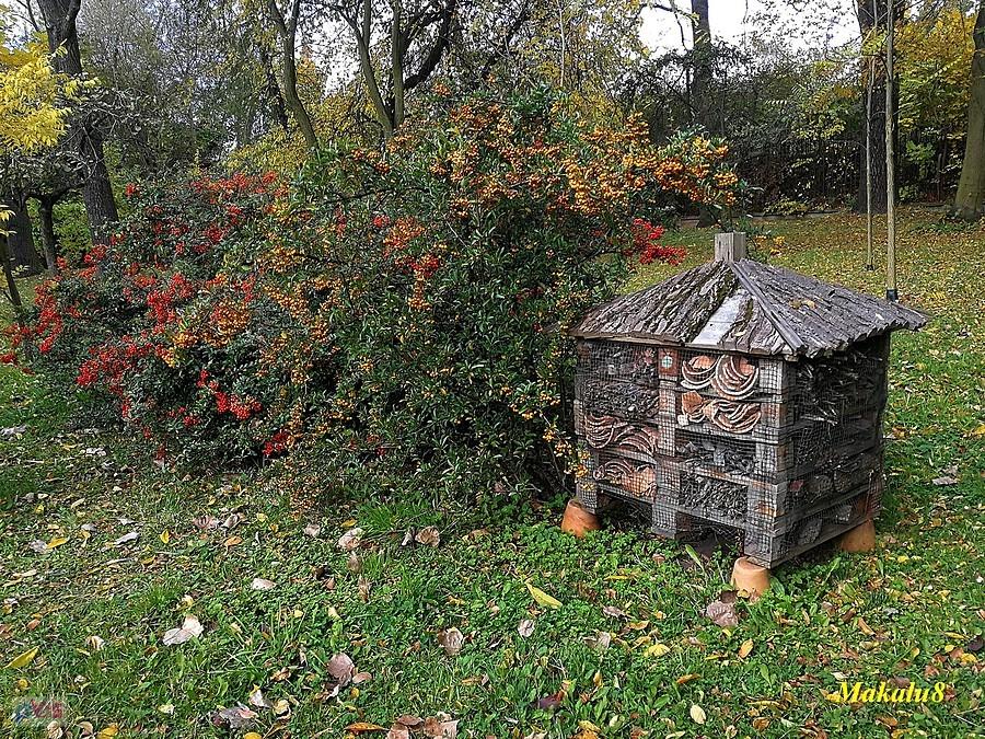 Miejski Ogród Botaniczny