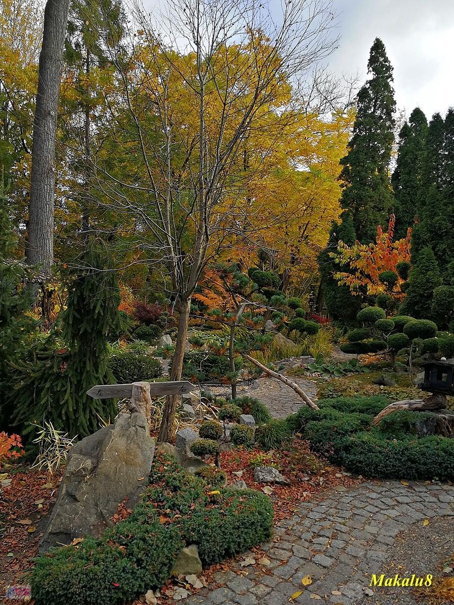 Miejski Ogród Botaniczny