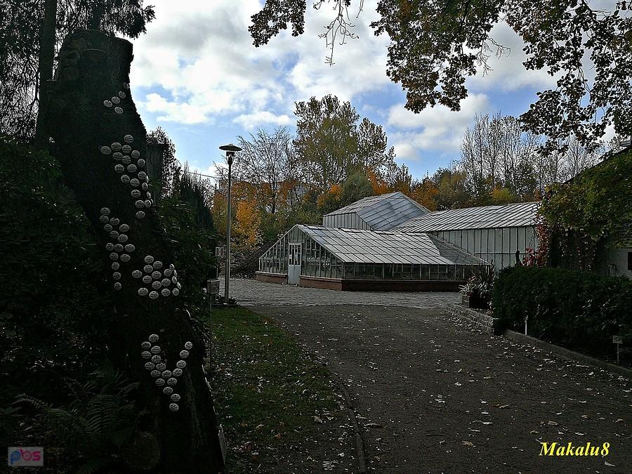 Miejski Ogród Botaniczny
